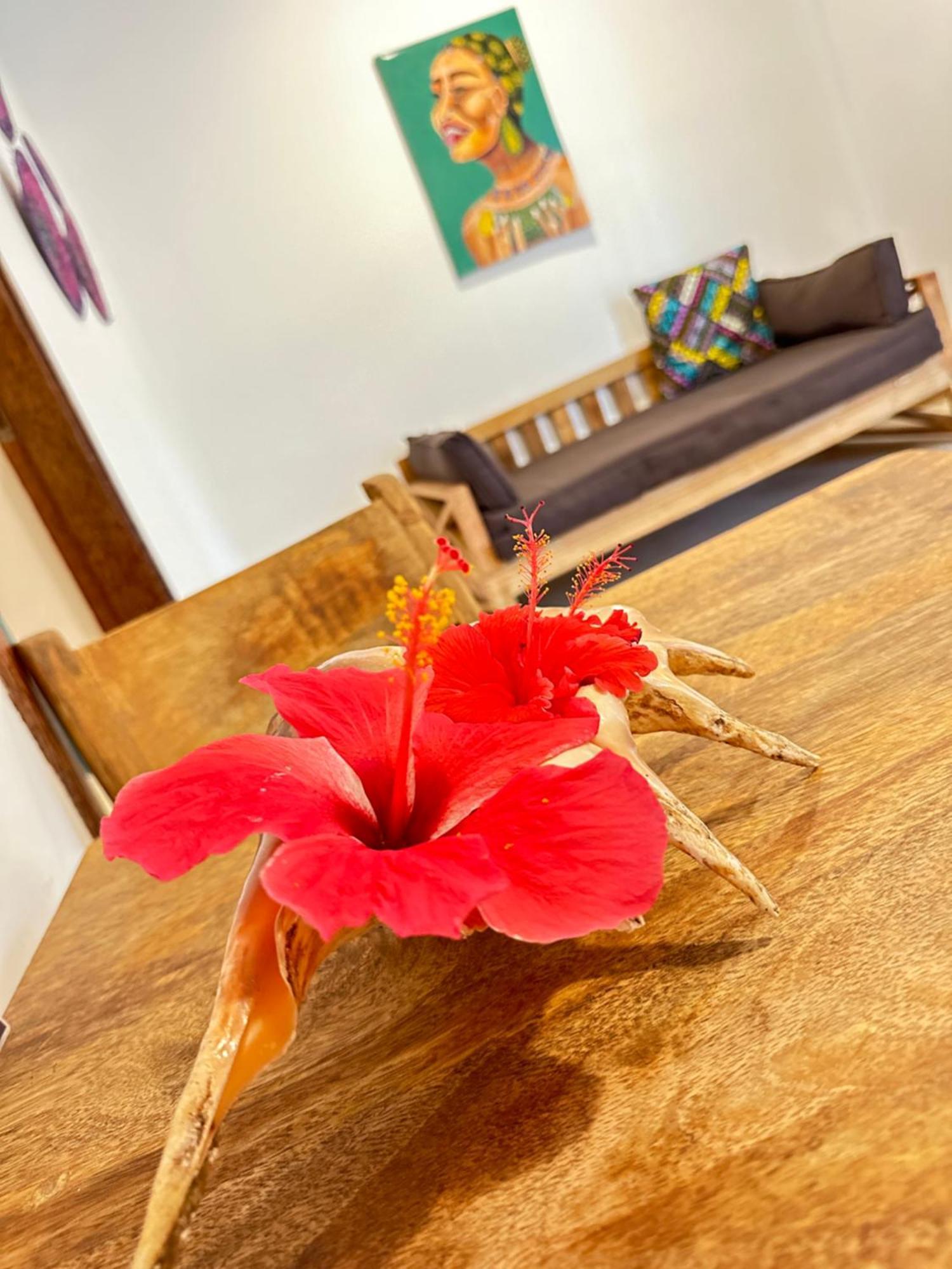 Sand Beach Boutique Apartments 브웨주 외부 사진